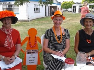 Zonta Says No gathering